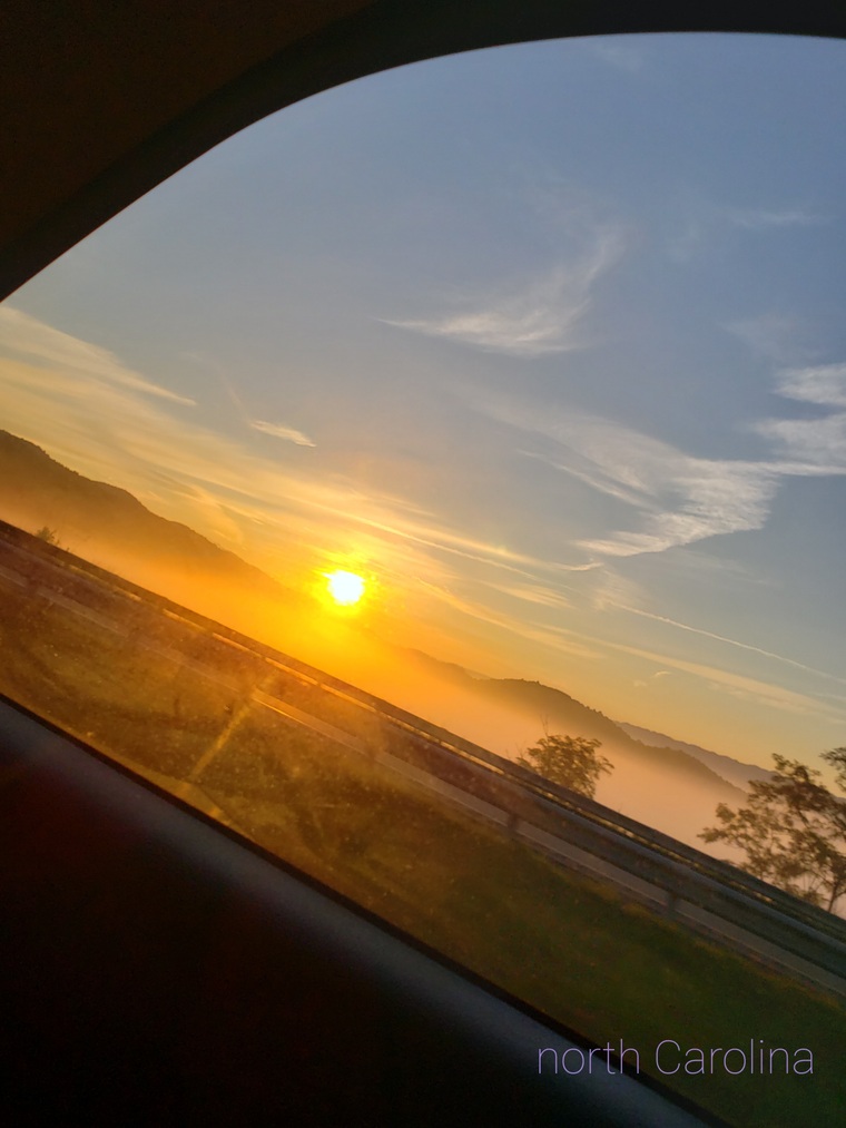 Mackenzie cover image