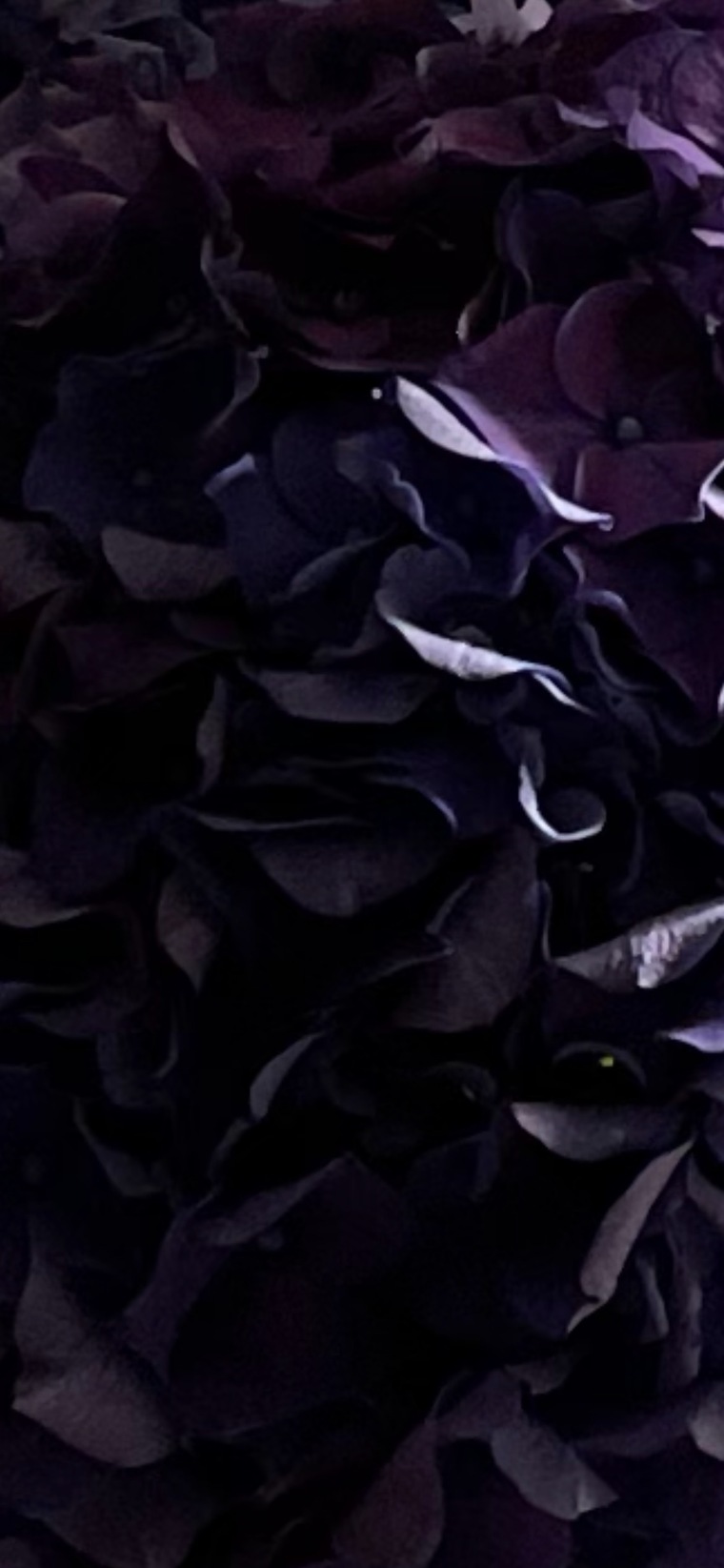 Mk banner image