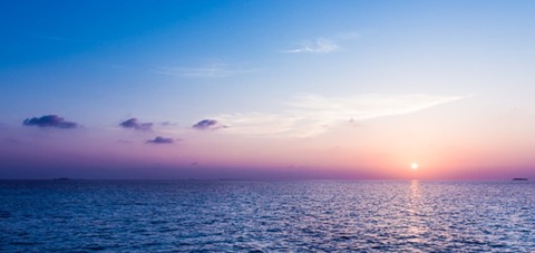 Morena cover image