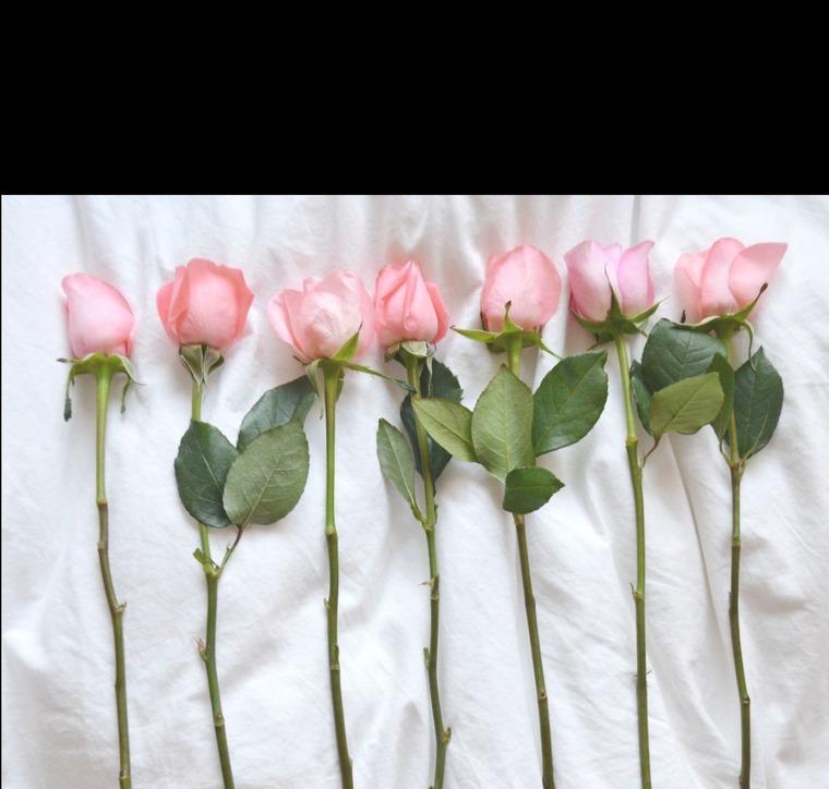 𝓶𝓸𝓷𝓪 💘 cover image