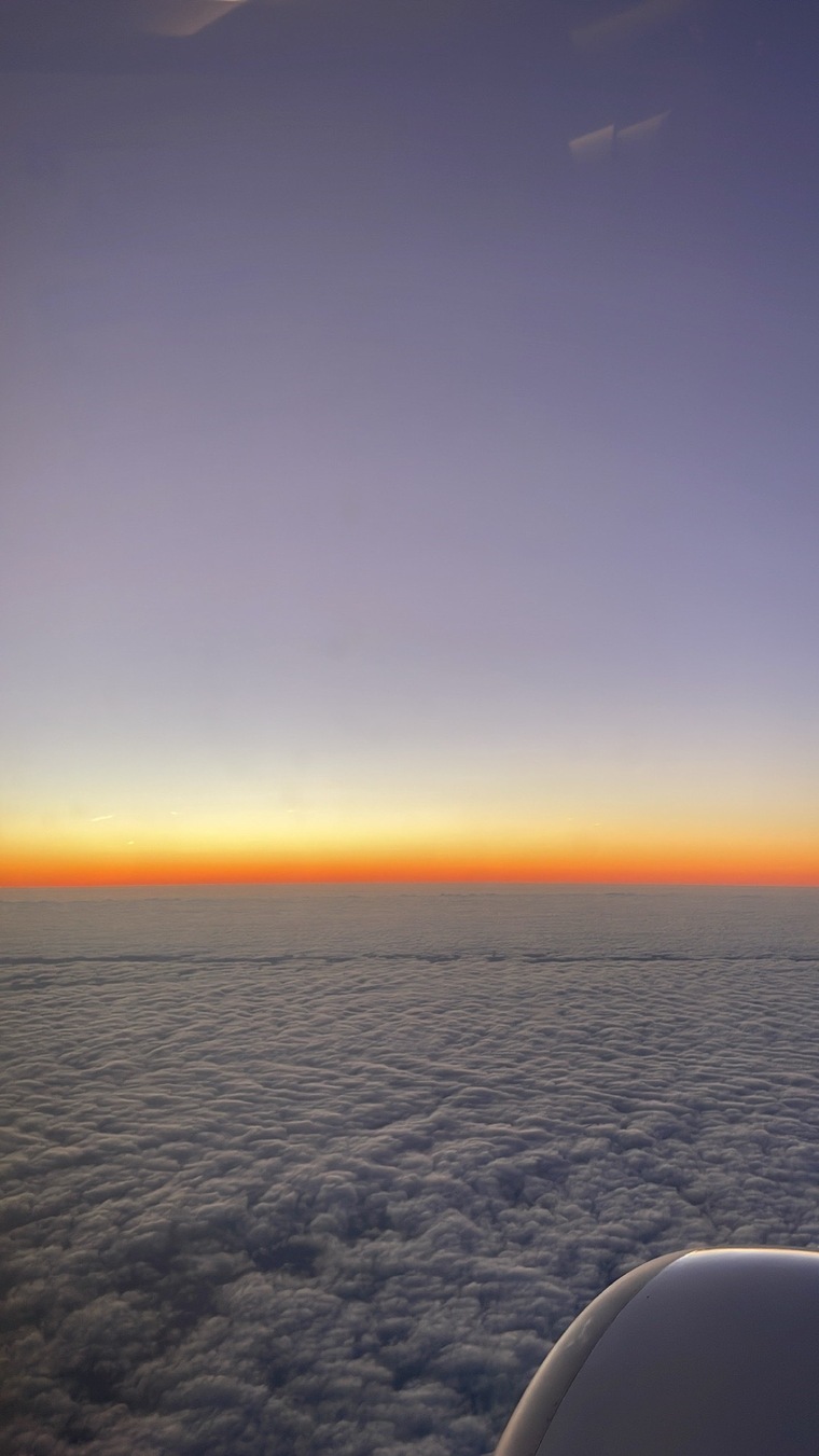 Mochatsunami cover image