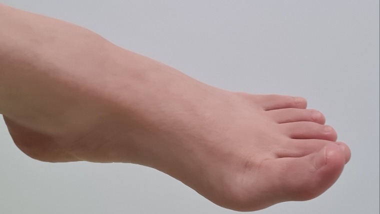 mochi's feet cover image