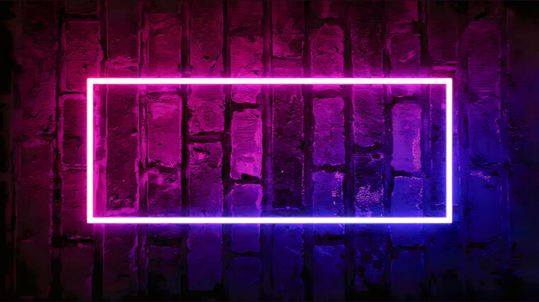 Moa banner image