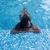 Molena_cute avatar