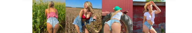 Molldoll banner image