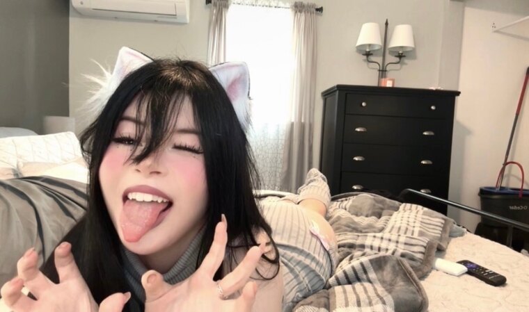 your fav pet gf ₊˚⊹ᰔ cover image
