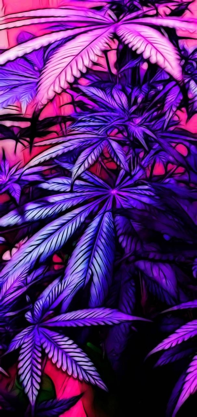 Molly x Rae cover image