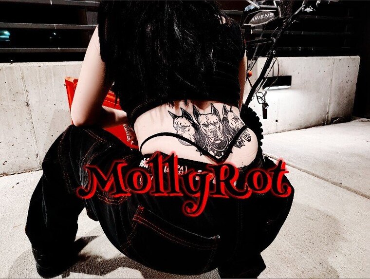 𝕸𝖔𝖑𝖑𝖞𝕽𝖔𝖙 ♡ cover image