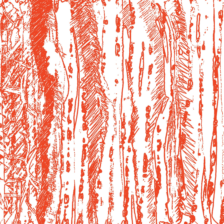 Momiji cover image