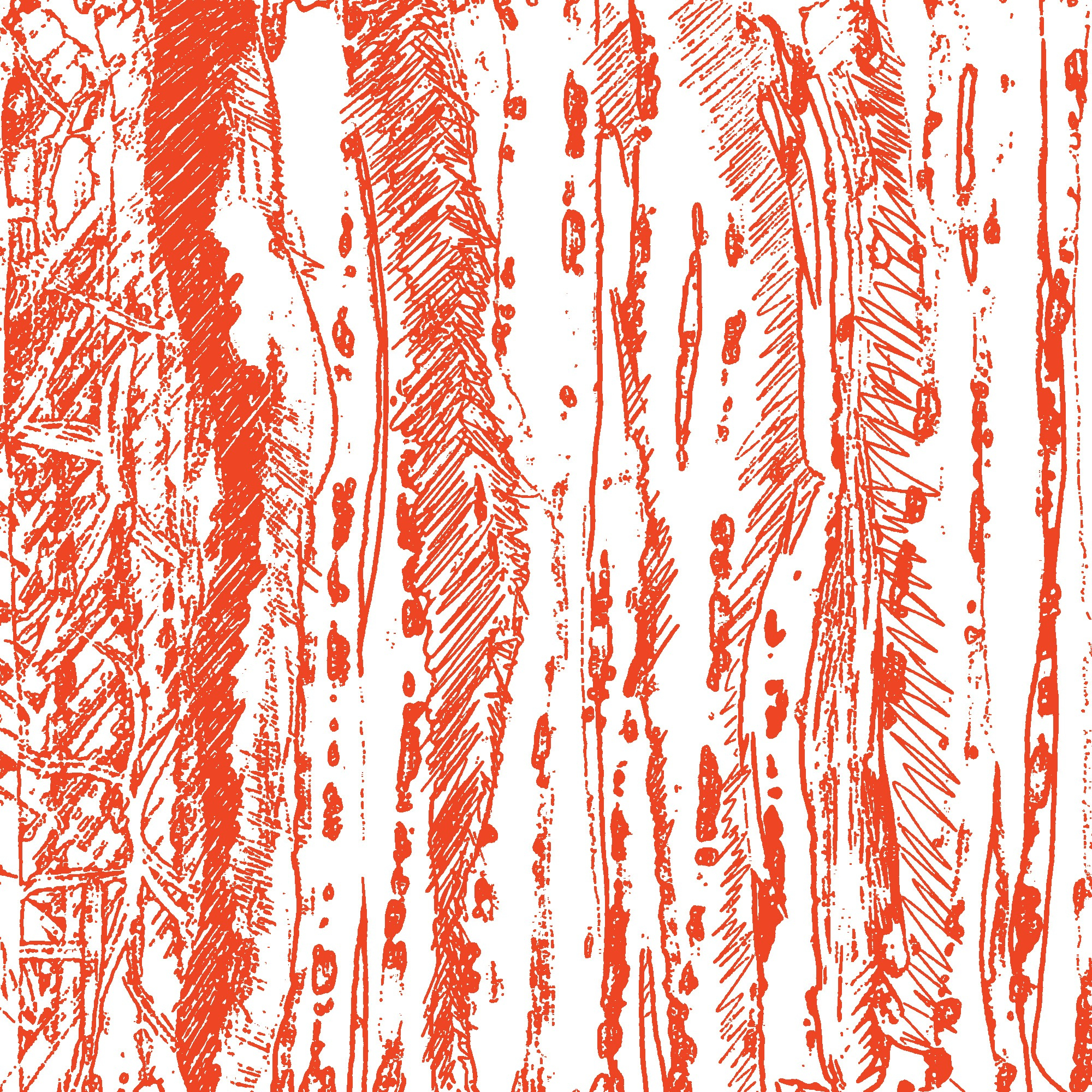 Momiji banner image