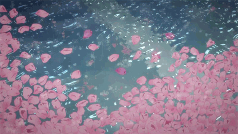 NiNi cover image