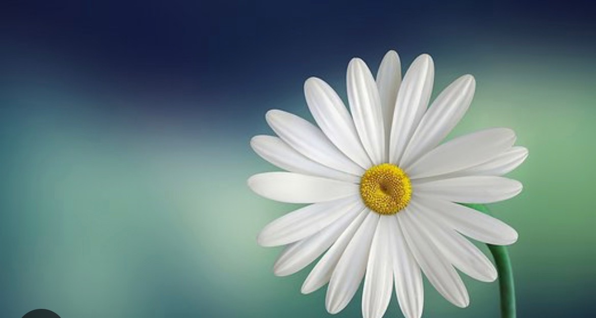 themommymilkers banner image