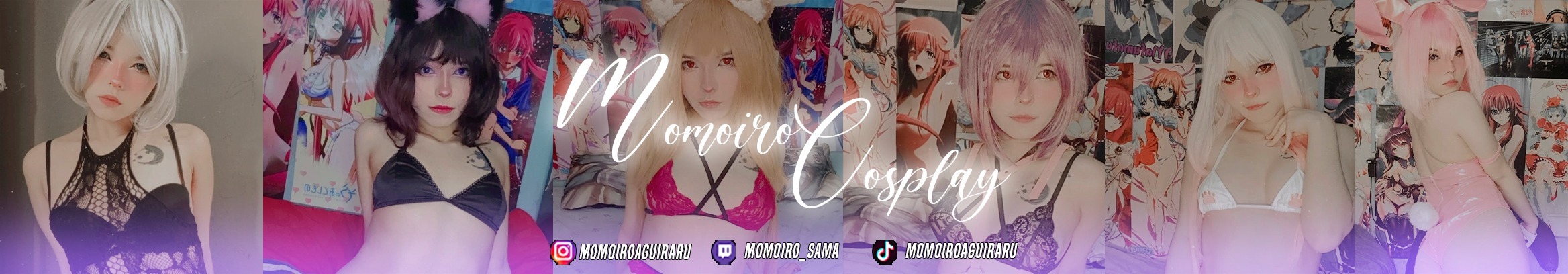 Momoiro-sama banner image