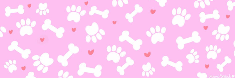 Momosnout🤍 cover image