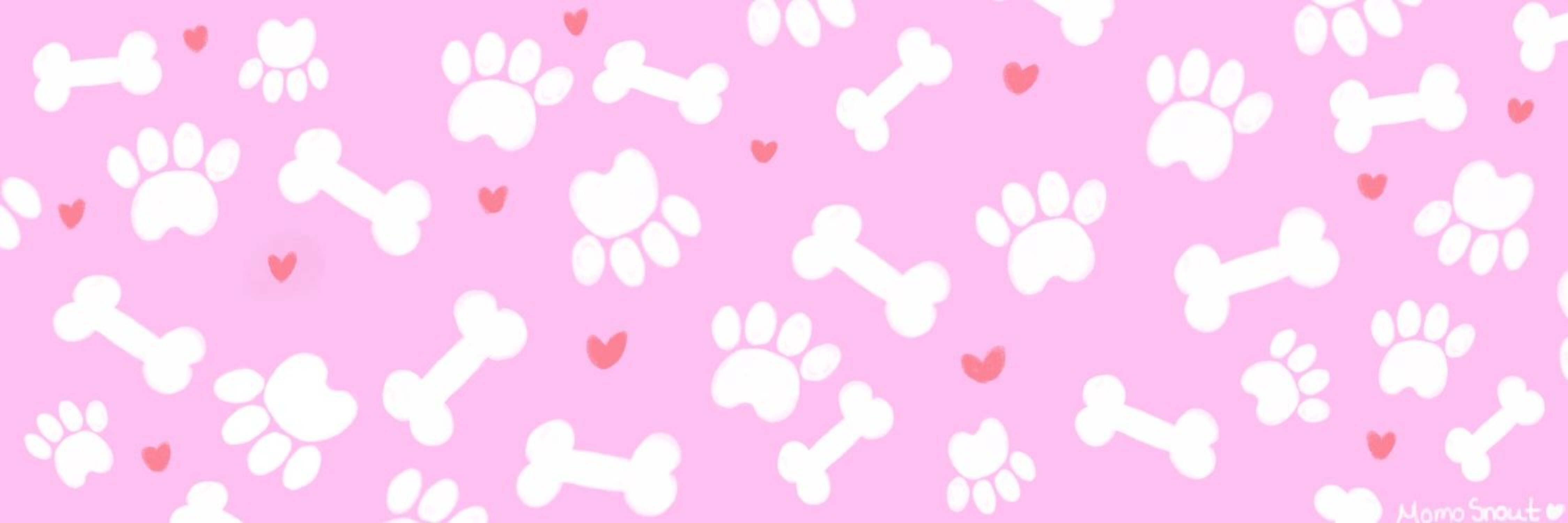 Momosnout🤍 banner image
