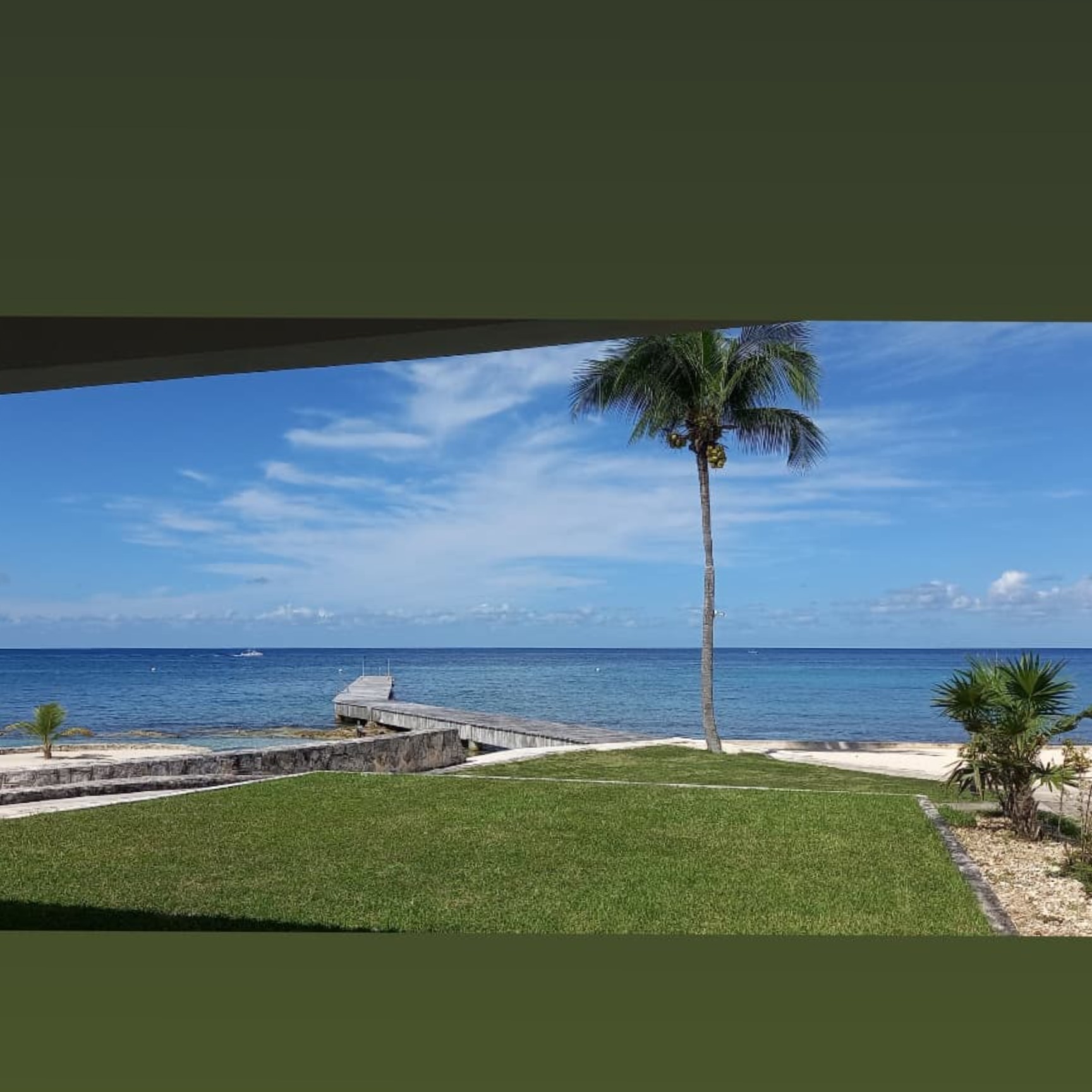 Bella banner image