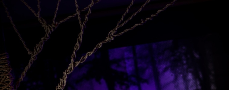 Monalisa banner image