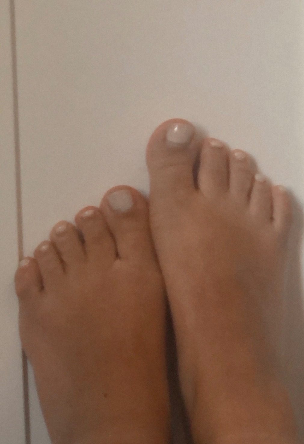 Monica Ferreira banner image