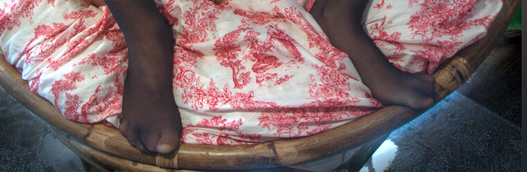 Monica pied banner image