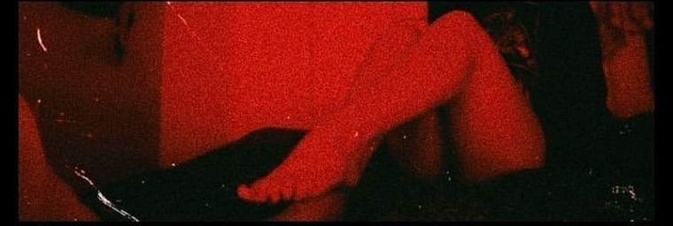 Monilla cover image