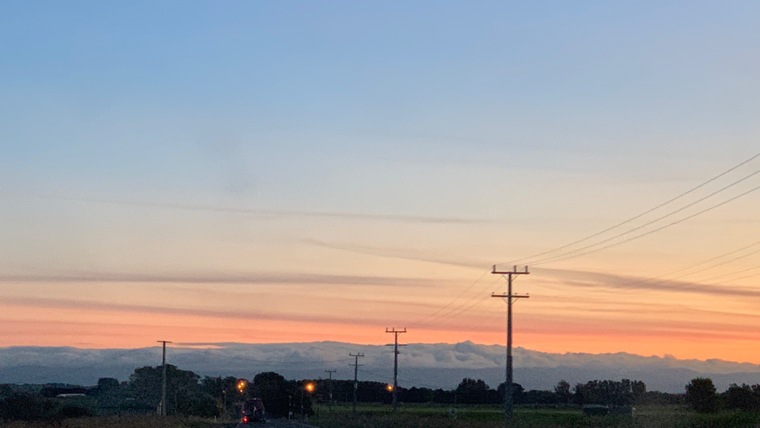 Moniloa cover image