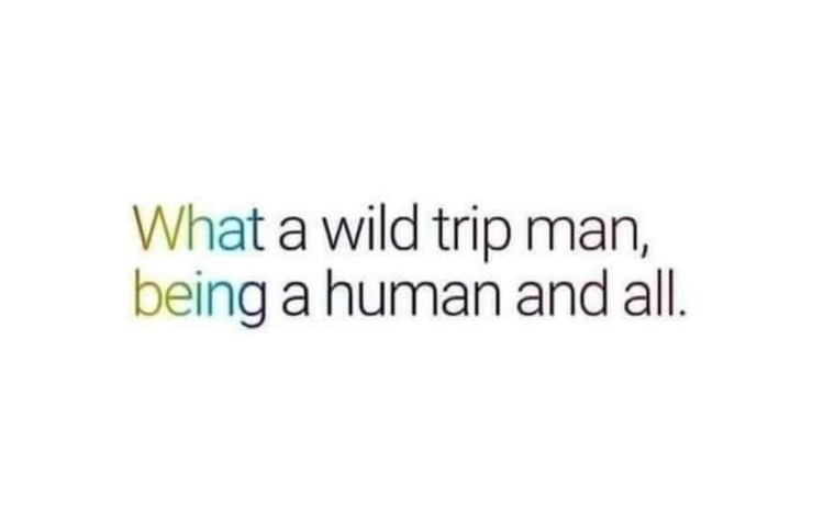 Monroe Del Rey cover image