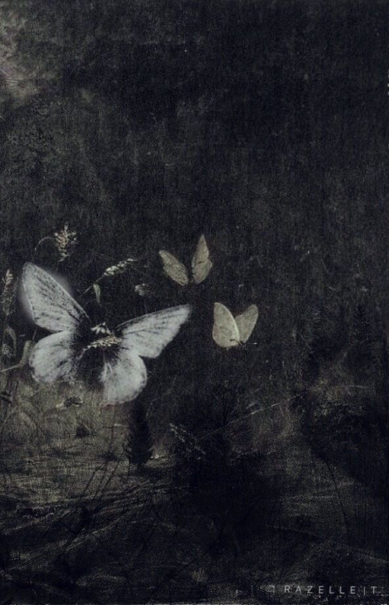 monsbunii banner image