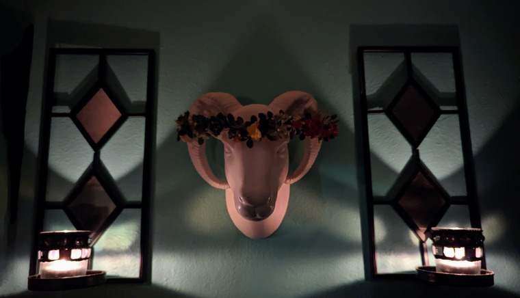 Venus banner image