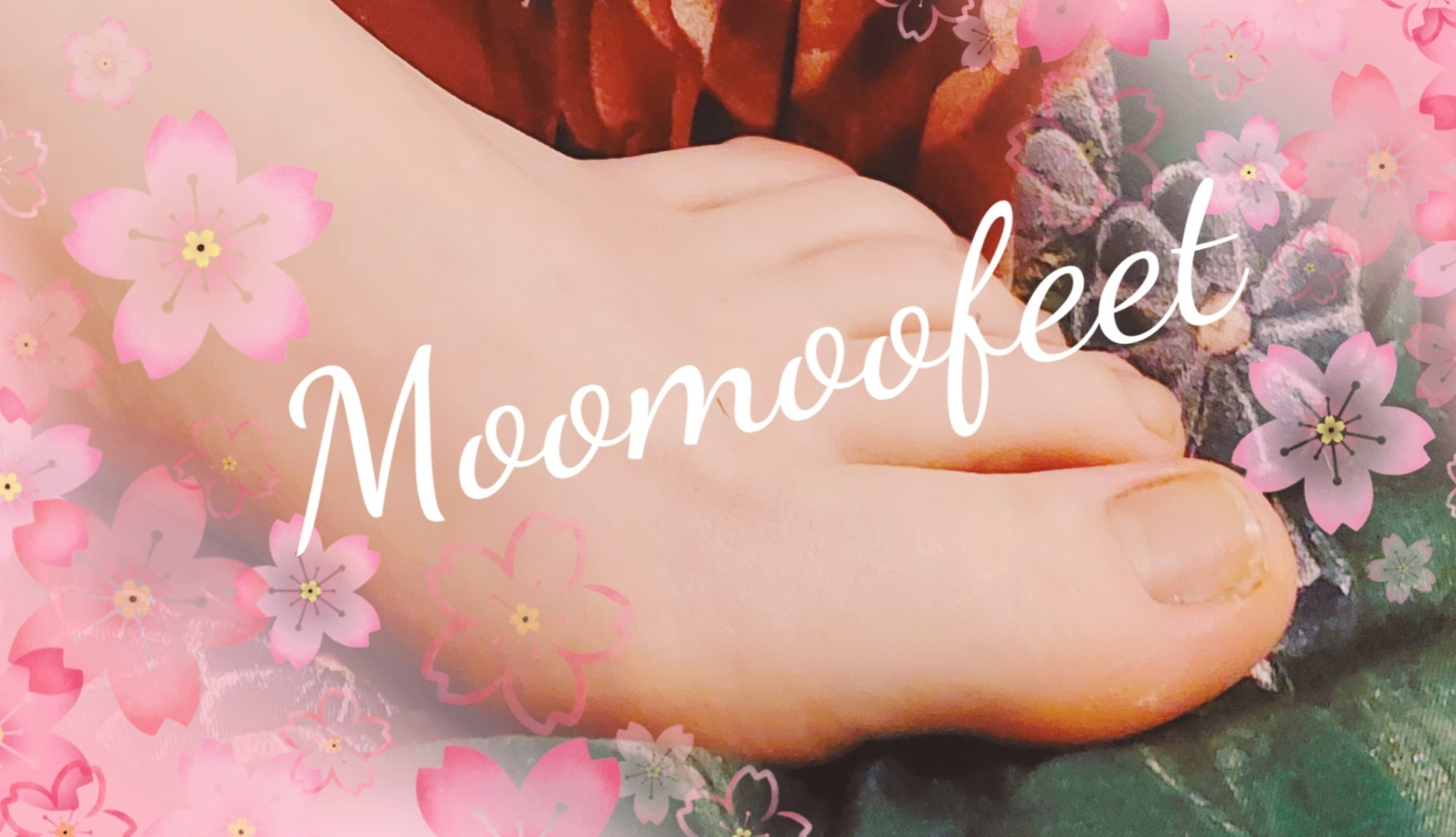 Moomoofeet banner image