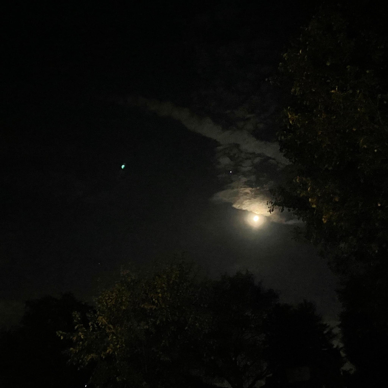 Moon Phases banner image