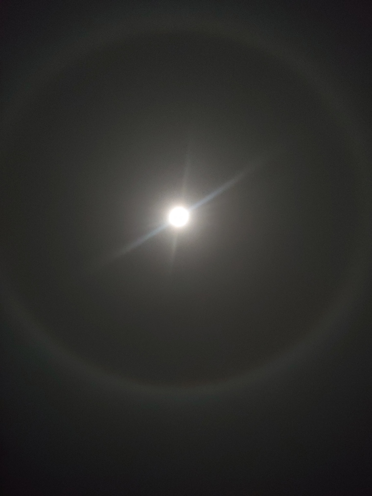 🌕 cover image