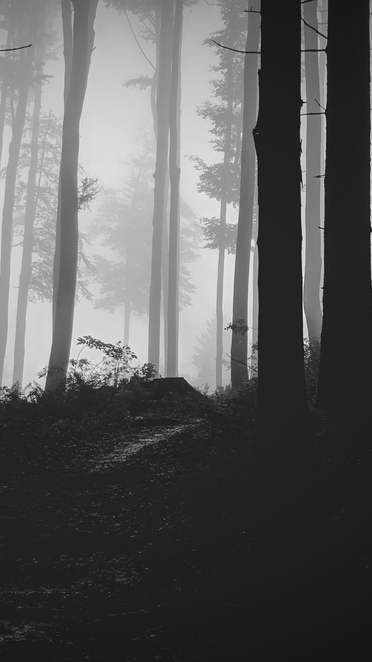 Adrian Zamora banner image