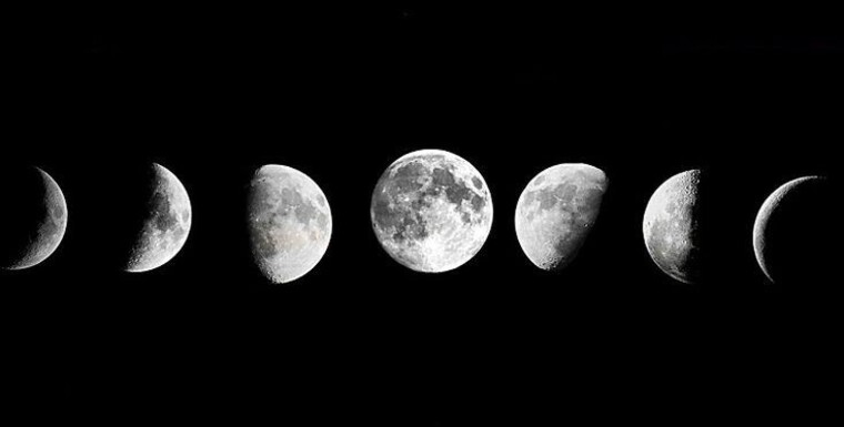MoonClove banner image