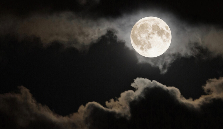 MoonMisses banner image