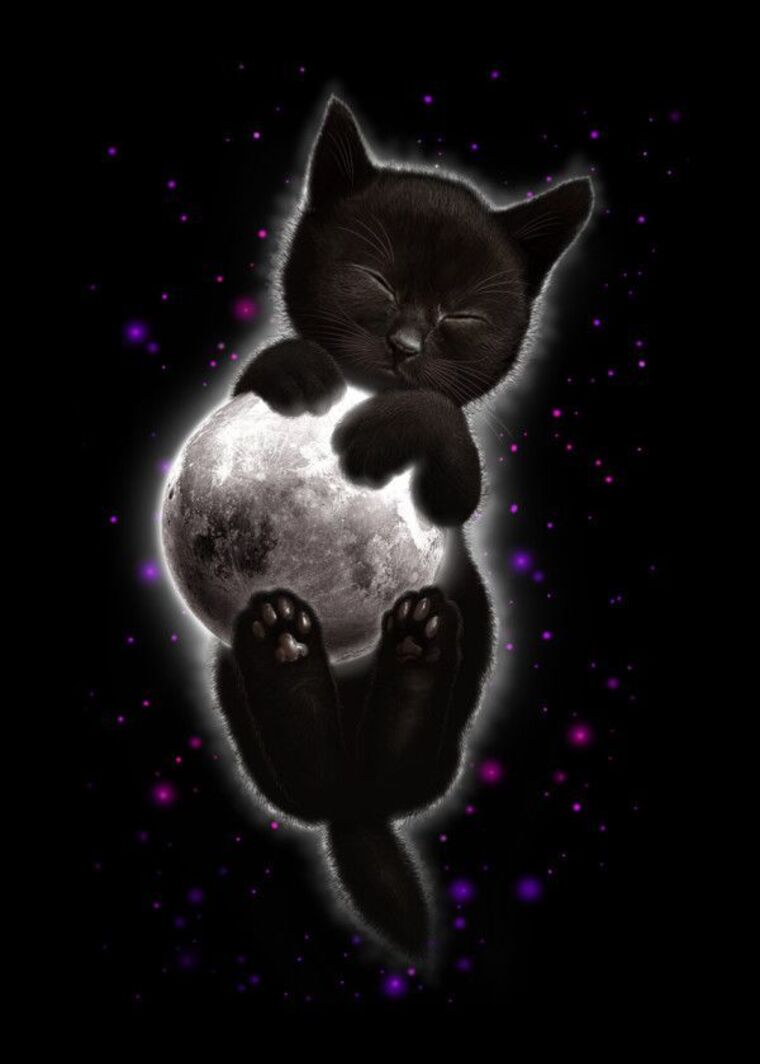 Moonravekittyn cover image