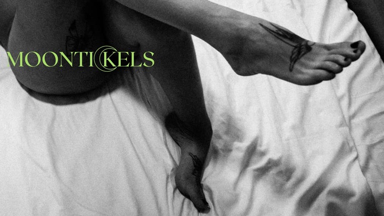 T. banner image