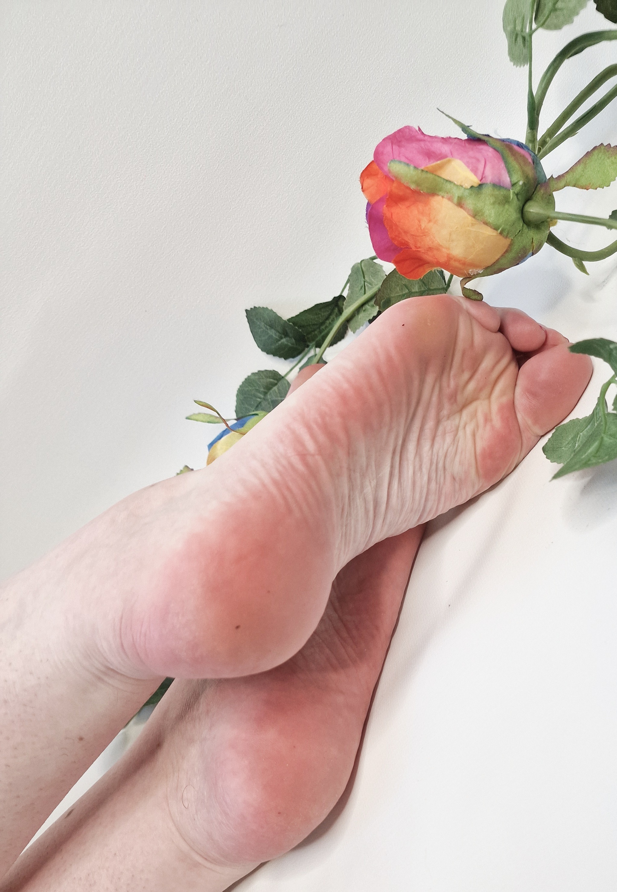 Moorefeetbeaut banner image