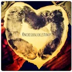 Mooseknucklestamps avatar
