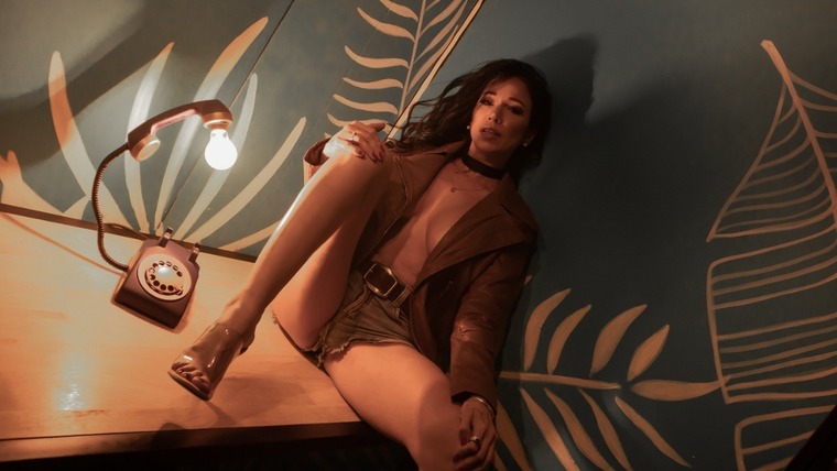 MorellaFox banner image