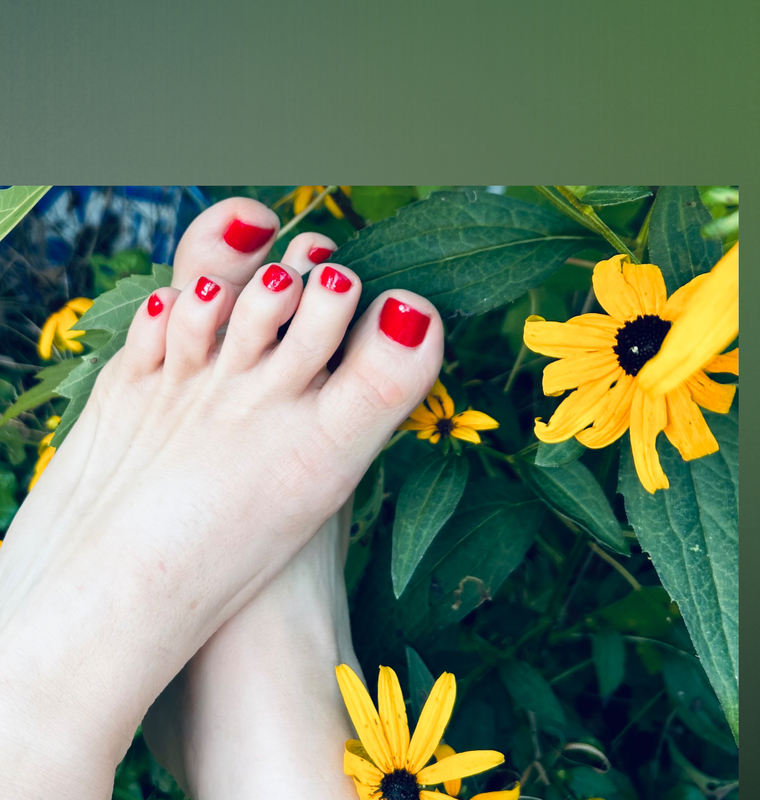 MorellaMosies cover image