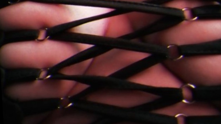 Josefina banner image