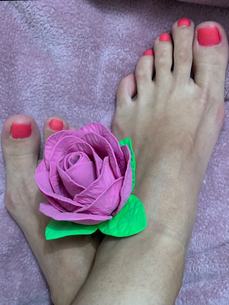 Andrea Vargas cover image