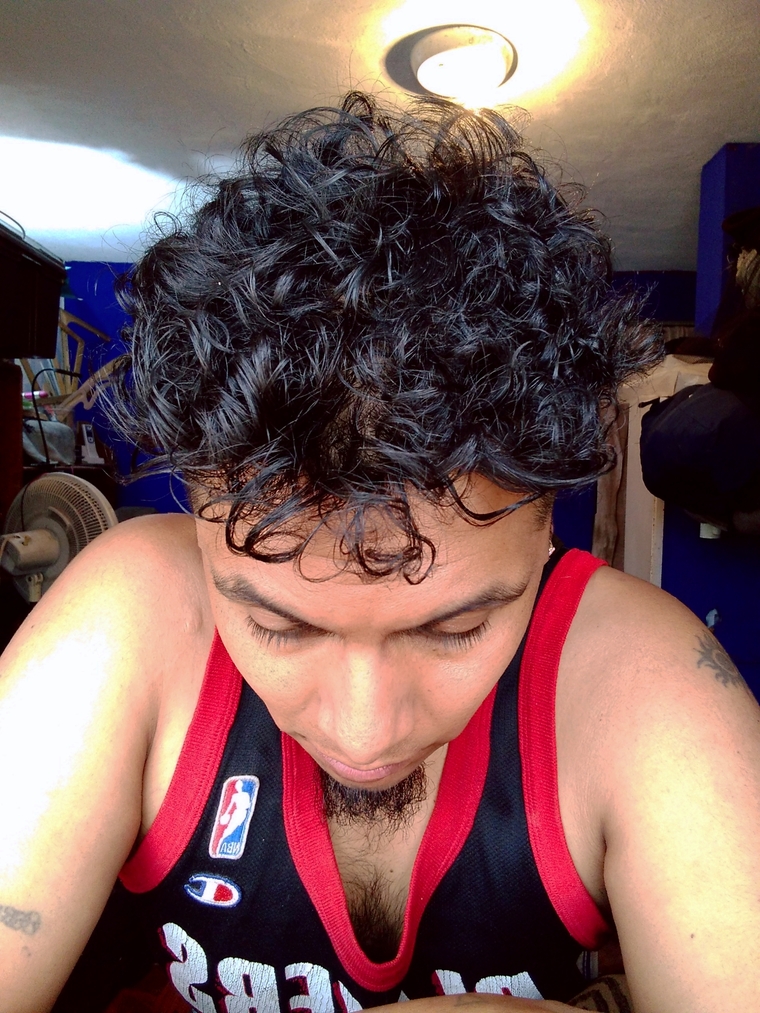 Brandon latino cover image