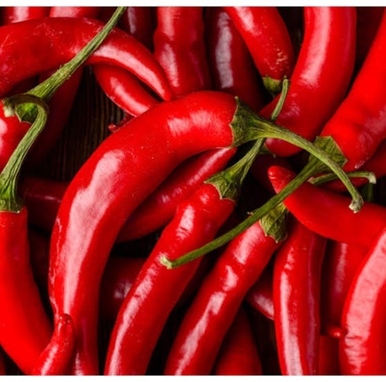 Moreno Hot 🌶️🔥 banner image