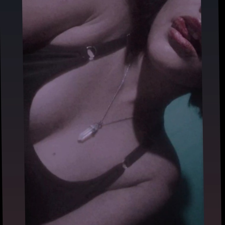 La morena banner image