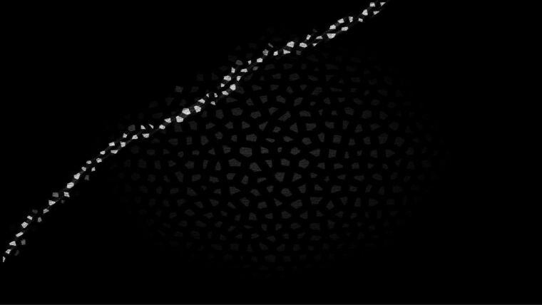 Morgan White banner image