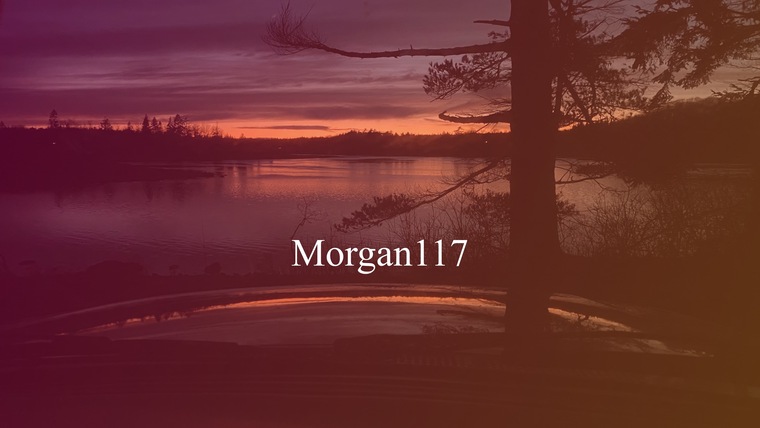 Morgan117 cover image