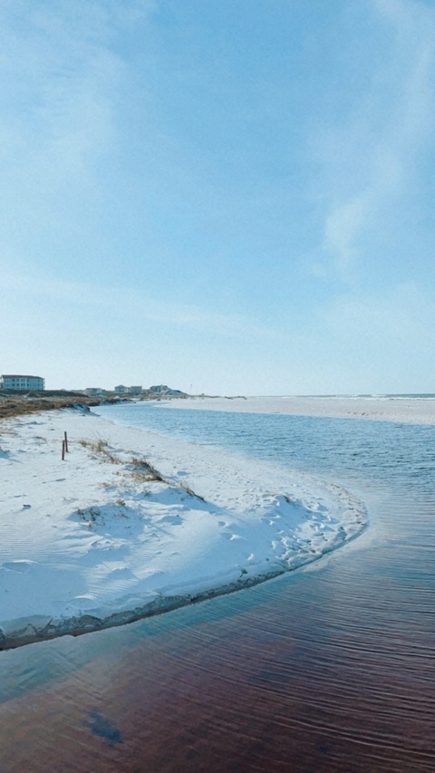 Morgan Lane cover image
