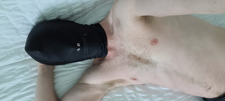 Naughty puppy cover image