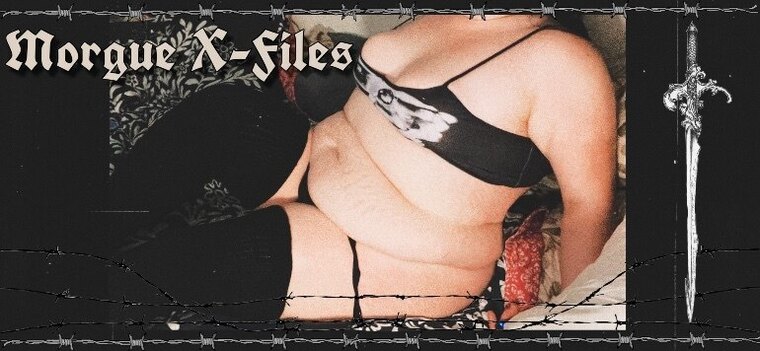 βΰΌΊπ©πΈπππππ πΈπππππͺΰΌ»β banner image